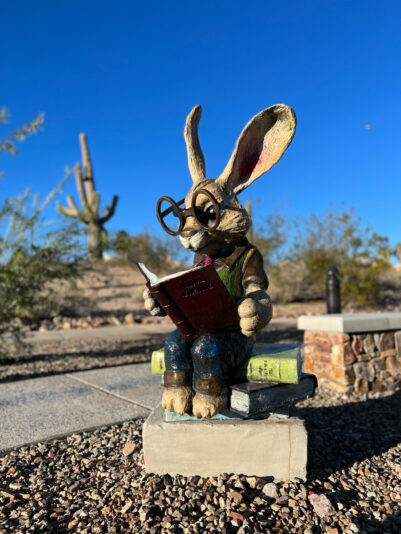 F8A9C7DC-DFD1-4261-9488-0E5E6ABE887C