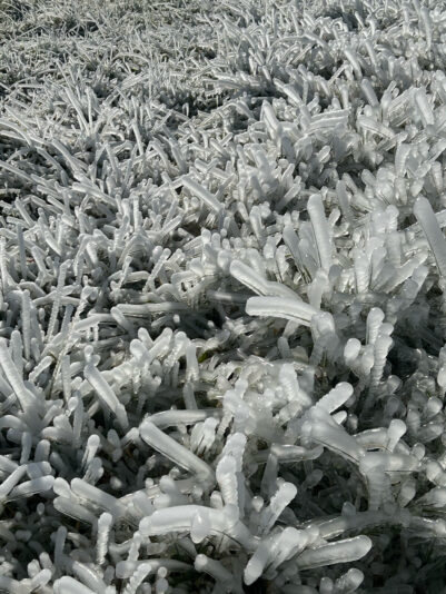 7700C7B5-9F17-4997-83F3-FF3201B17B44