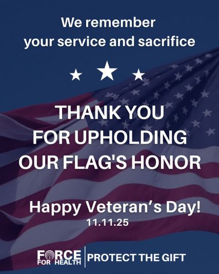 White Videocentric Veterans Day Instagram Post