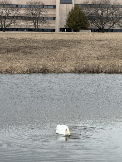 80BBE2DA-CF3C-4595-88A4-62652F664DA7