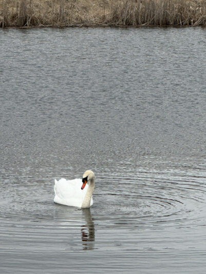 7B0B5E21-8350-442D-93B6-371A290B8A51