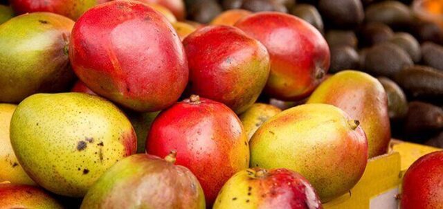 04-05-15-foods-8-body