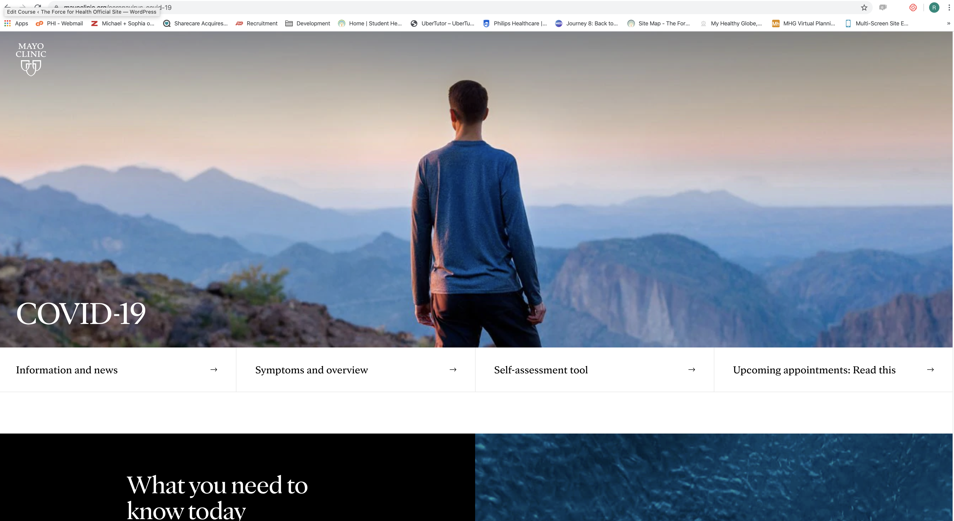Screen Shot 2020-04-06 at 3.56.38 PM