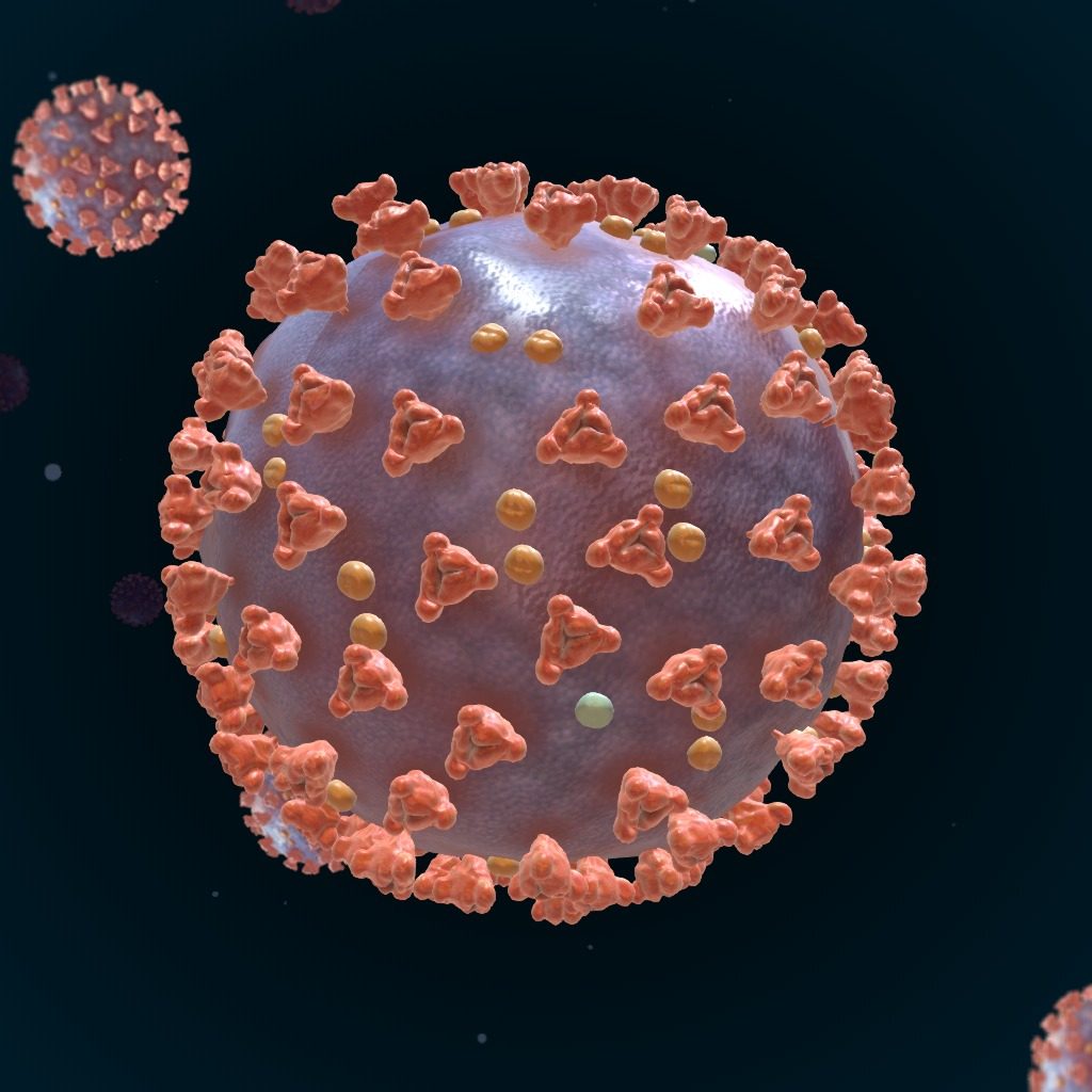 Virtual STEAM² Camp Challenge – 4 Week Camp