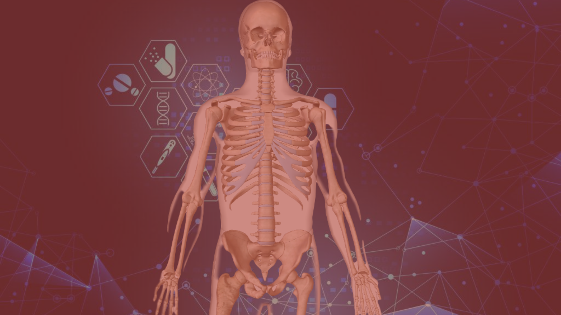 360° Human: Bones, Joints and Muscles
