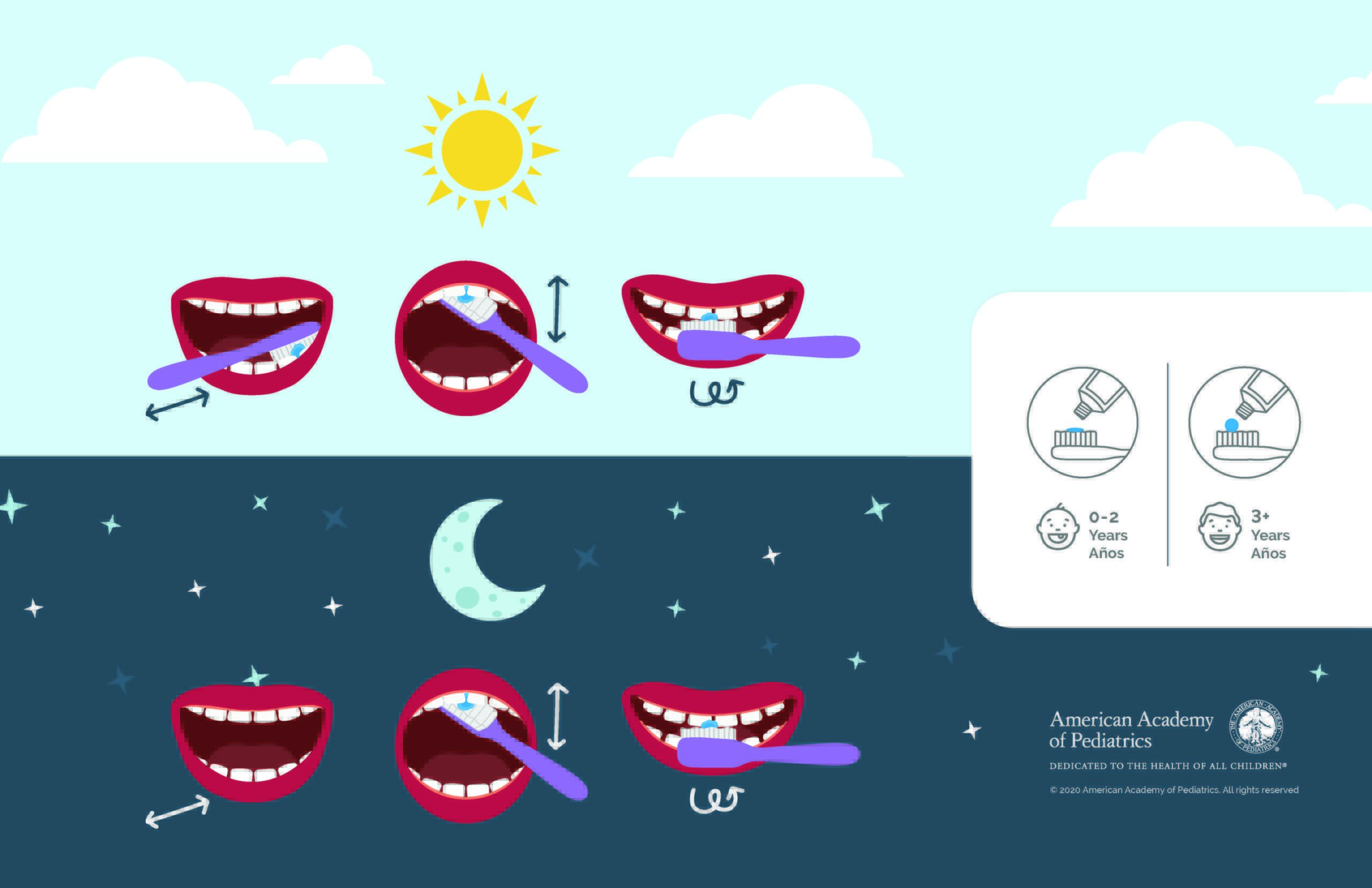 dental health teeth brushing infographic in english and spanish