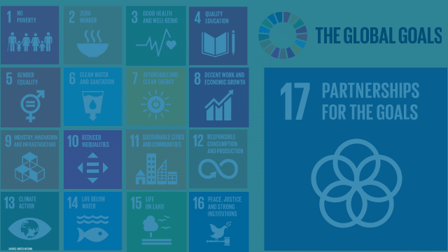 Understanding the BASICS – 17 Sustainable Development Goals from the United Nations
