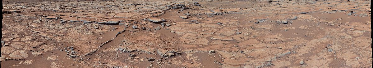Read article: NASA's Curiosity Takes Inventory of Key Life Ingredient on Mars