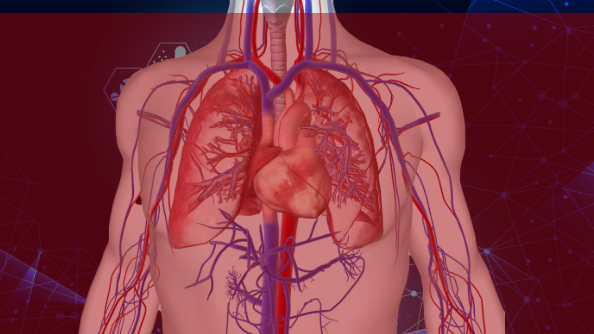 360° Human Explorer Systems Check Challenge