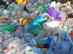 Plastic and Health