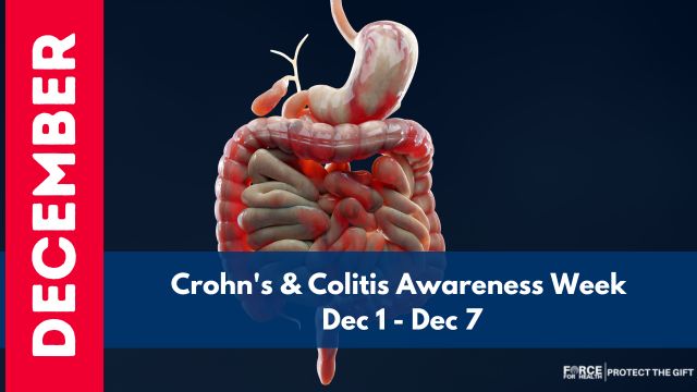A detailed 3D medical illustration of the human digestive system highlighting the intestines, representing Crohn’s and Colitis Awareness Week.