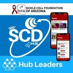 360° SCD Hub Ambassadors - Image 4