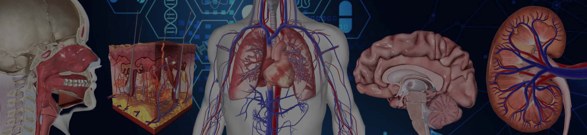 Group cover image