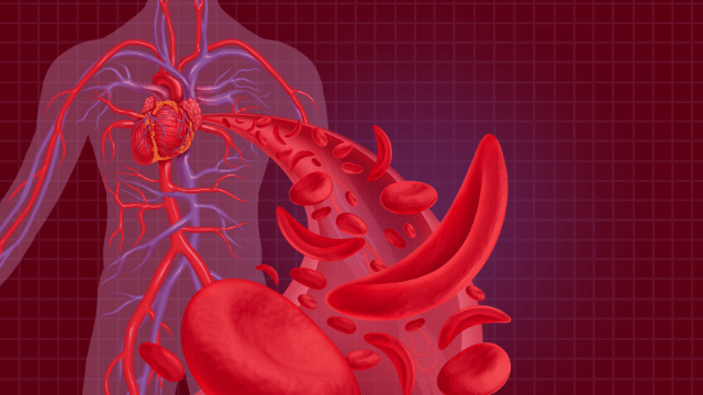 Group cover image