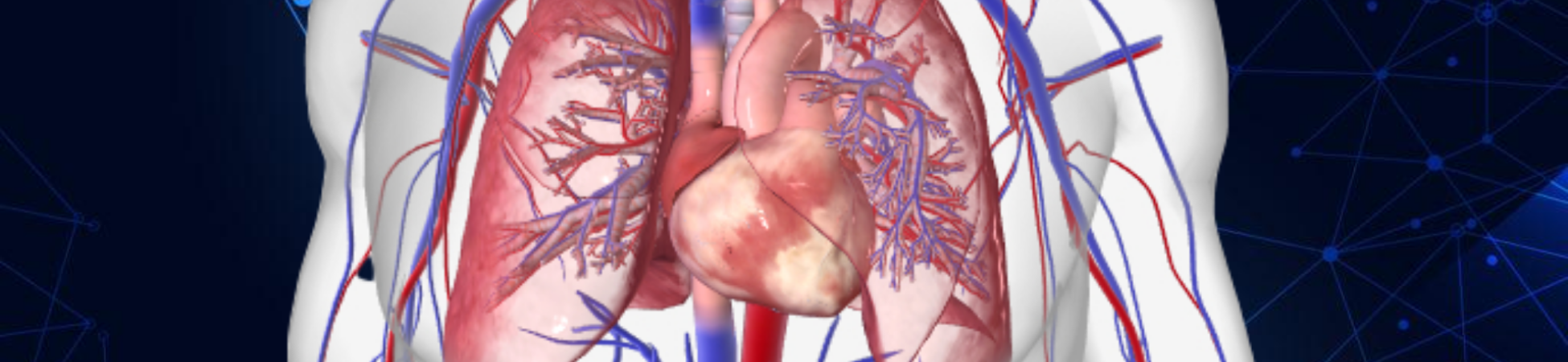 Group cover image