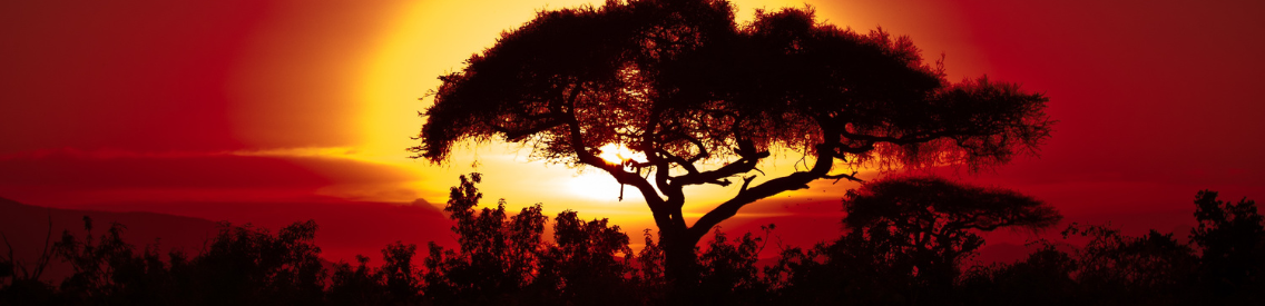 Group cover image