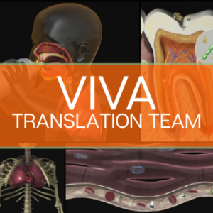 Group logo of VIVA Development Project
